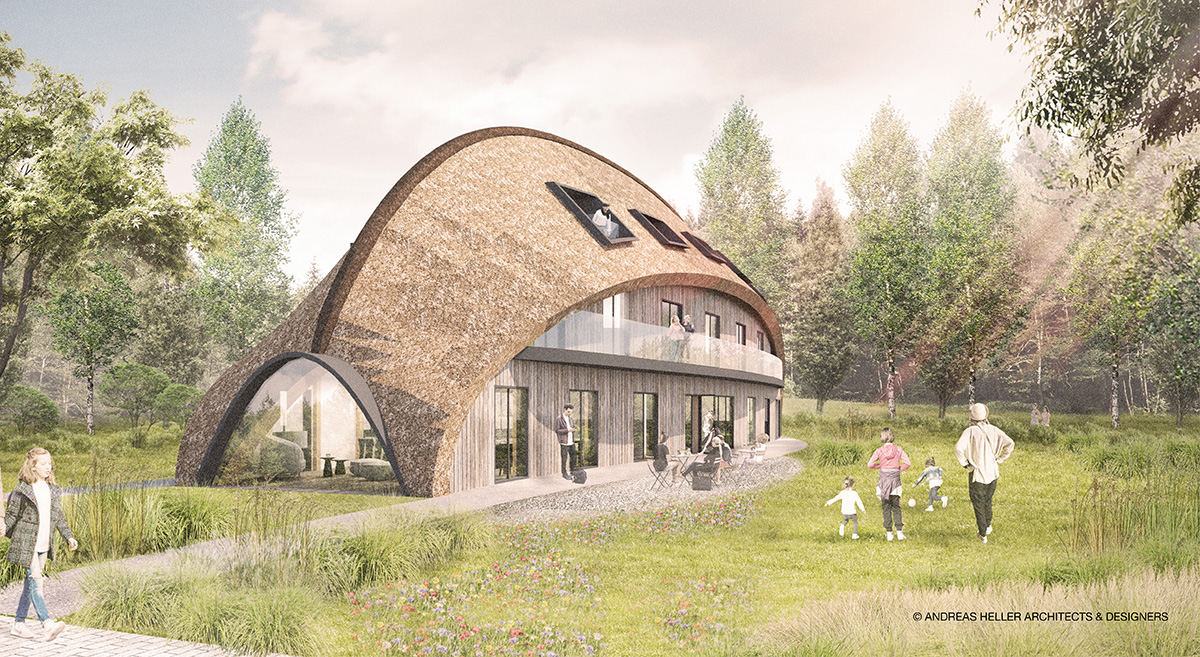 Visualisierungen Waldwiese Hohwacht_1_Straße